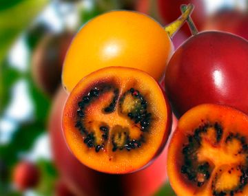 Las 5 frutas del Norte que no vas a encontrar en la verdulería