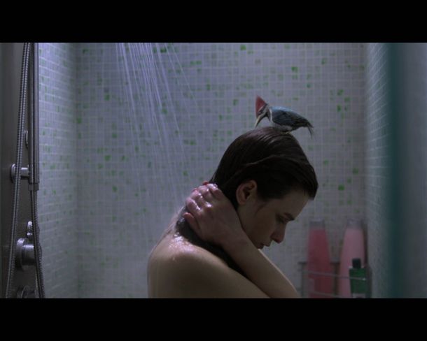 Twistos_Pajaro carpintero