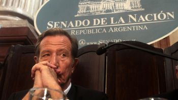 desconocen a leandro despouy como titular de la agn desconocen a leandro despouy como titular de la agn