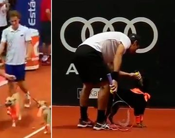 Los perros alcanza pelotas se robaron el show en el Abierto de tenis de Brasil