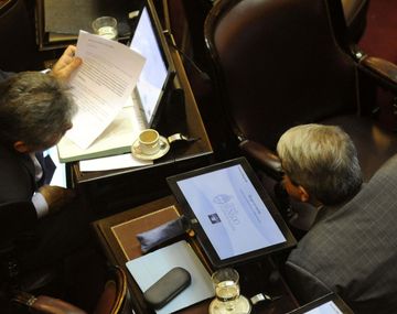 Intenso debate en el Senado por los límites a las cautelares