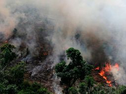 Documentos filtrados muestran que Bolsonaro tiene planes devastadores para el Amazonas