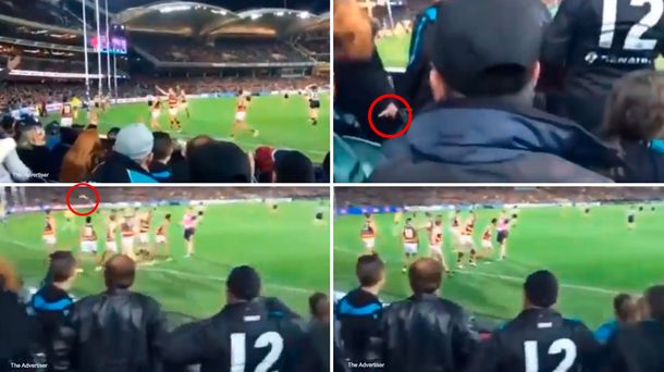 VIDEO: Una mujer tiró una banana a un jugador y desató una polémica sobre el racismo en Australia