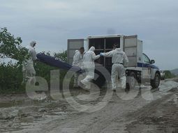 la autopsia revelo que las turistas mendocinas fueron asesinadas con sana la autopsia revelo que las turistas mendocinas fueron asesinadas con sana