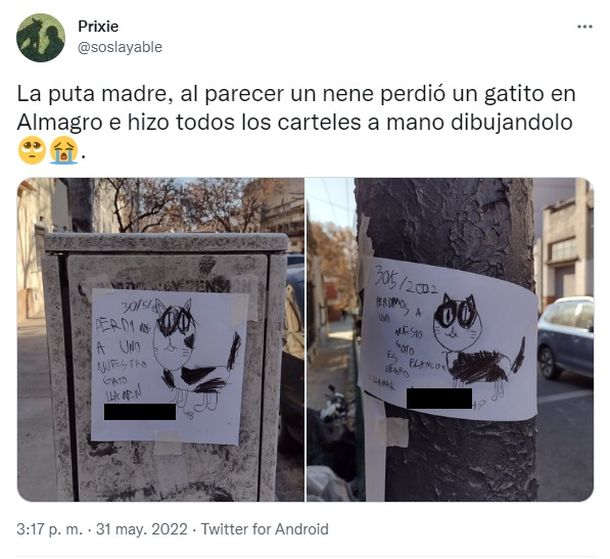 "La pu***, al parecer un nene perdió un gatito en Almagro e hizo todos los carteles a mano dibujándolo": La historia viral con final feliz