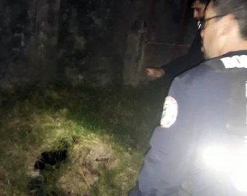 Denunció que su hija de un año se escapó: murió asfixiada en un pozo y la autopsia demostró que la violaban