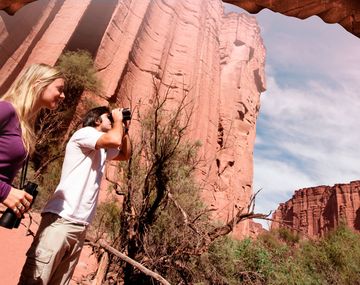 La guía definitiva para visitar el Parque Talampaya en La Rioja