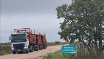 polemica con las empresas forestales por el uso de caminos rurales que derivo en la emergencia vial polemica con las empresas forestales por el uso de caminos rurales que derivo en la emergencia vial