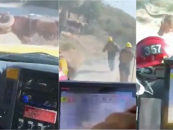 Video viral: un grupo de bomberos fue atacado por un toro