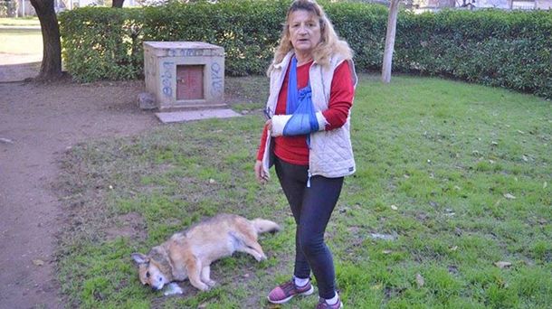 Olga encontró a su perra muerta