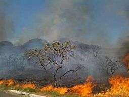 Macri y los incendios en el Amazonas: Nuestro sistema de emergencias está a disposición