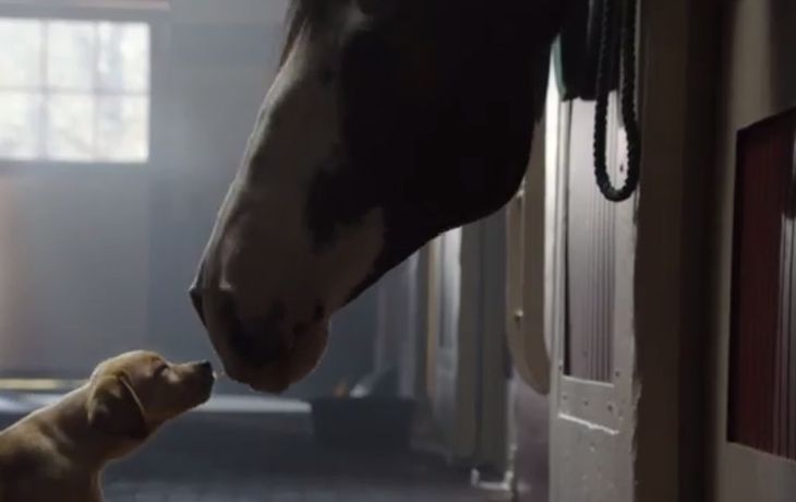 El superclásico: la publicidad más tierna del Super Bowl