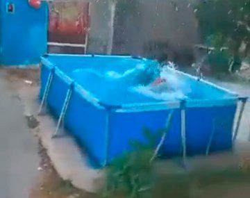 En Rosario también los recolectores de residuos pasan por la pelopincho