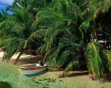 La costa caribeña también es rica