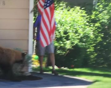 El encuentro casual entre un oso y un hombre