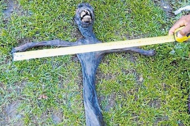 El cuerpo del alien es, en realidad, un mandril momificado