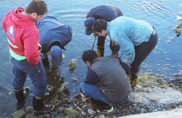 El lugar donde hallaron el arma. Gentileza: agencia Allen