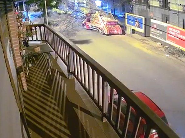Insólito accidente en Mar del Plata: un árbol seco cayó sobre un camión