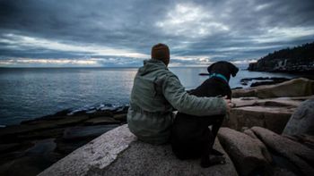 le diagnosticaron un cancer terminal a su perro y decidio sacarlo a pasear por ultima vez le diagnosticaron un cancer terminal a su perro y decidio sacarlo a pasear por ultima vez