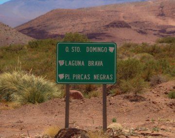 Científicos del CONICET hallaron restos de uno de los dinosaurios más antiguos del mundo