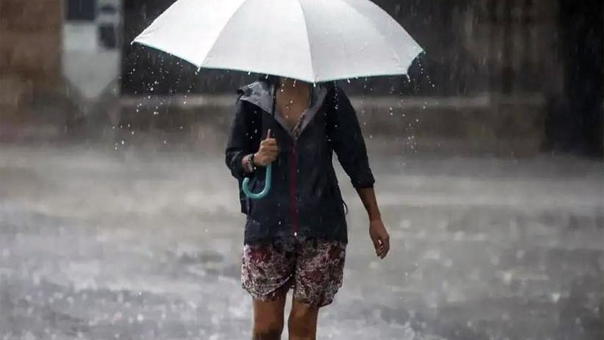 Alerta por tormentas para este sábado: el informe del Servicio Meteorológico Nacional para 7 provincias