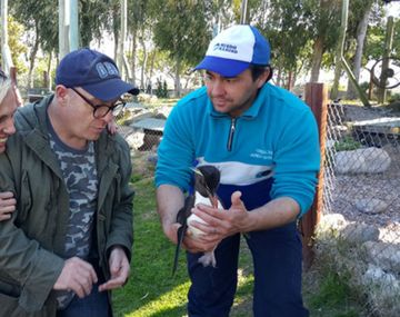 Denise Dumas y Martín Campi comprometidos con la recuperación de los animales marinos