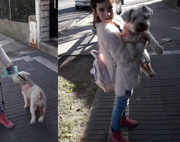 El mejor final: Jazmín encontró a su perra perdida el día de su cumpleaños