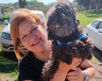 Mar del Plata: un rottweiler atacó a un caniche hasta matarlo