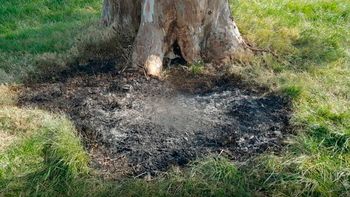 el cuerpo de la mujer encontrado en la ruta 2, no es el de la policia que estan buscando el cuerpo de la mujer encontrado en la ruta 2, no es el de la policia que estan buscando