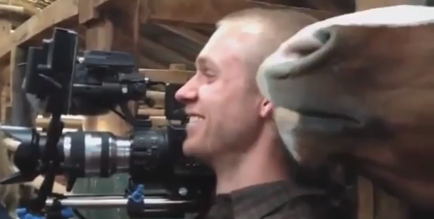 VIDEO: Un caballo demasiado cariñoso se la agarra con un camarógrafo