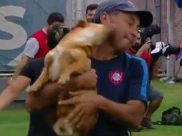Un perro invadió la cancha de San Lorenzo