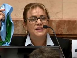 La senadora que mostró los dos pañuelos durante el debate por el aborto