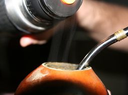 aseguran que el mate caliente puede producir cancer aseguran que el mate caliente puede producir cancer