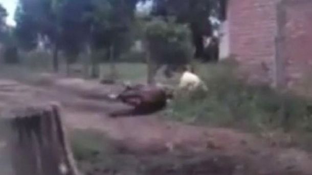 Filman brutal paliza de un domador a un caballo