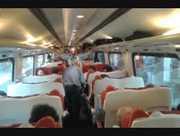 La fiesta que armó la gente para ir a ver a Los Pumas