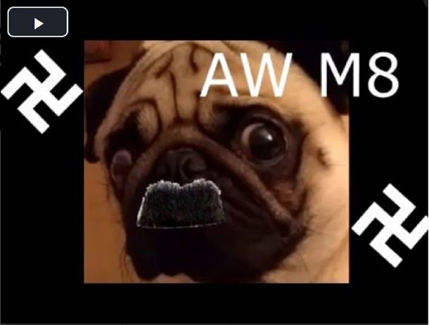 Lo arrestaron por enseñarle a su perro Pug a hacer el saludo nazi