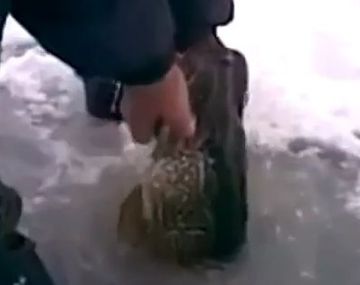 El método ruso poco ortodoxo para pescar en aguas congeladas