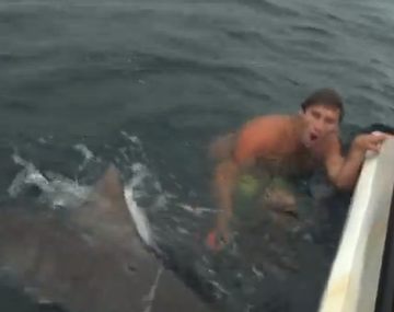 Un pescador se salva de un tiburón por los pelos