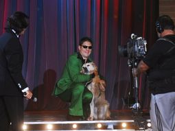 ENTRADA SERAFIN Y PERRO ENTRADA SERAFIN Y PERRO