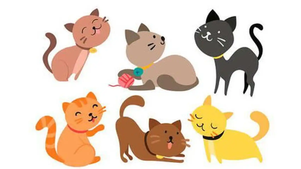 Este test viral te invita a descubrir el lugar ideal donde te gustaría vivir solo eligiendo un gatito.