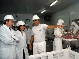 apuestan al ordenamiento del sector carnico y frigorifico apuestan al ordenamiento del sector carnico y frigorifico