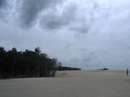 Cómo estará el clima hoy sábado 15 de enero en Pinamar y Cariló