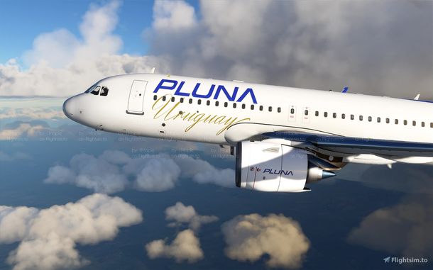 El estado uruguayo deberá pagar una suma millonaria por el caso de Pluna.