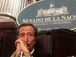 desconocen a leandro despouy como titular de la agn desconocen a leandro despouy como titular de la agn