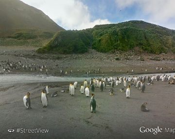 La británica Premier Oil reduce proyecto en Malvinas por caída del precio del petróleo