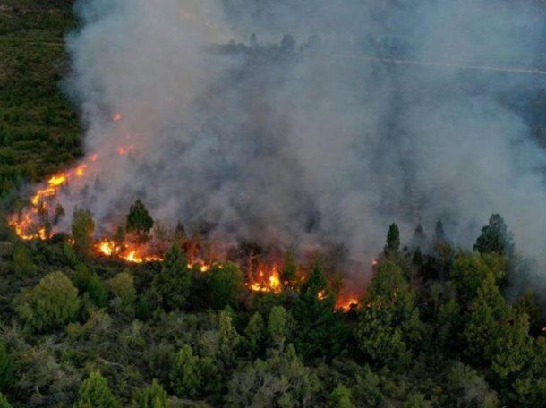 Bariloche: el incendio en el Parque Nacional Nahuel Huapi arrasó más de 3.500 hectáreas