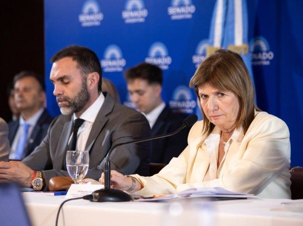 Reforma laboral: Patricia Bullrich pasó el debate para febrero con un dictamen sujeto a cambios