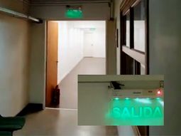 Ordenaron desinfectar Comodoro Py por la presencia de murciélagos