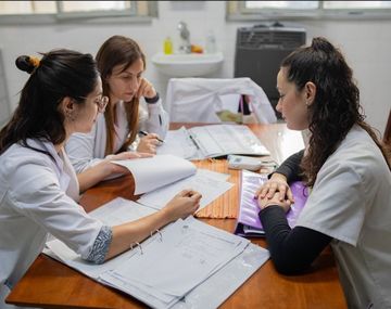 Bocharon a 141 postulantes a residencias médicas: más de la mitad de los casos investigados