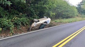 vio una arana adentro del auto y sufrio un terrible vuelco en medio de la ruta vio una arana adentro del auto y sufrio un terrible vuelco en medio de la ruta
